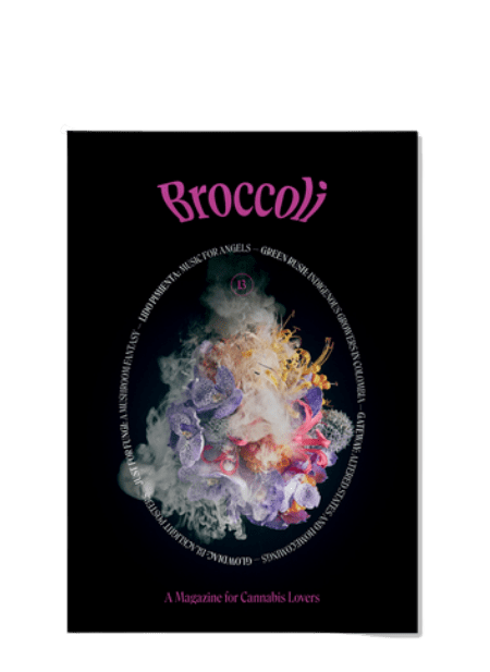 Broccoli Magazine - Issue 13