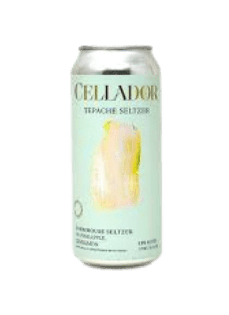 Tepache Seltzer (can)